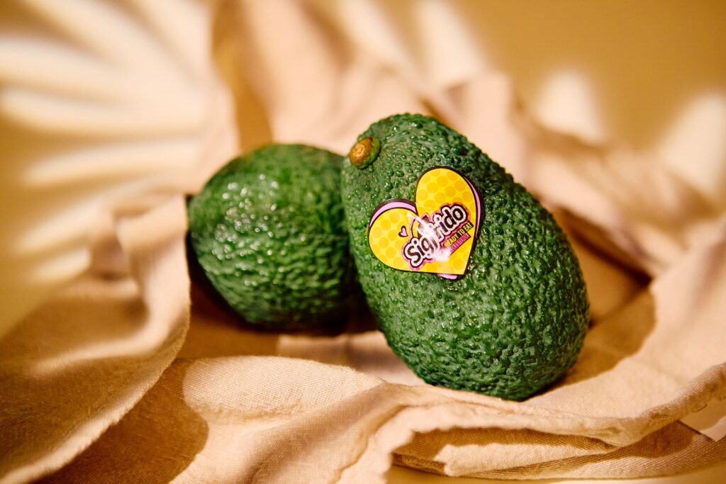 AGUACATE-HASS-SIGRIDOFRUIT-4-1.jpg