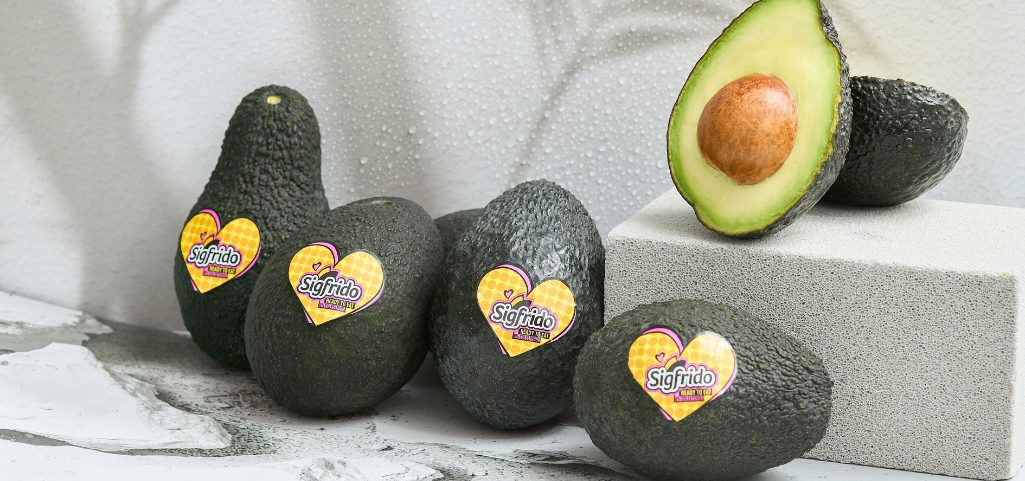 como-elegir-un-aguacate-bueno