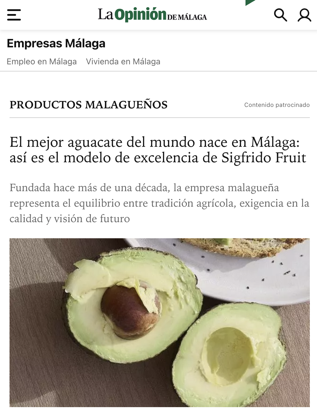 sigfrido-fruit-el-mejor-aguacate-del-mundo