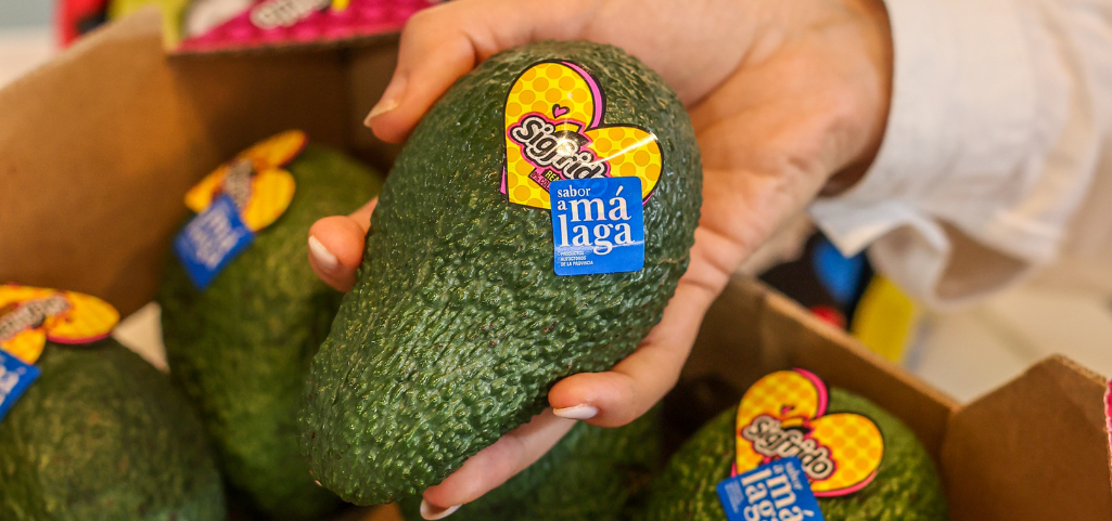 sigfrido-fruit-en-salon-hyt