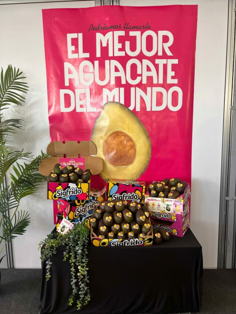 sigfrido-fruit-moto-gp