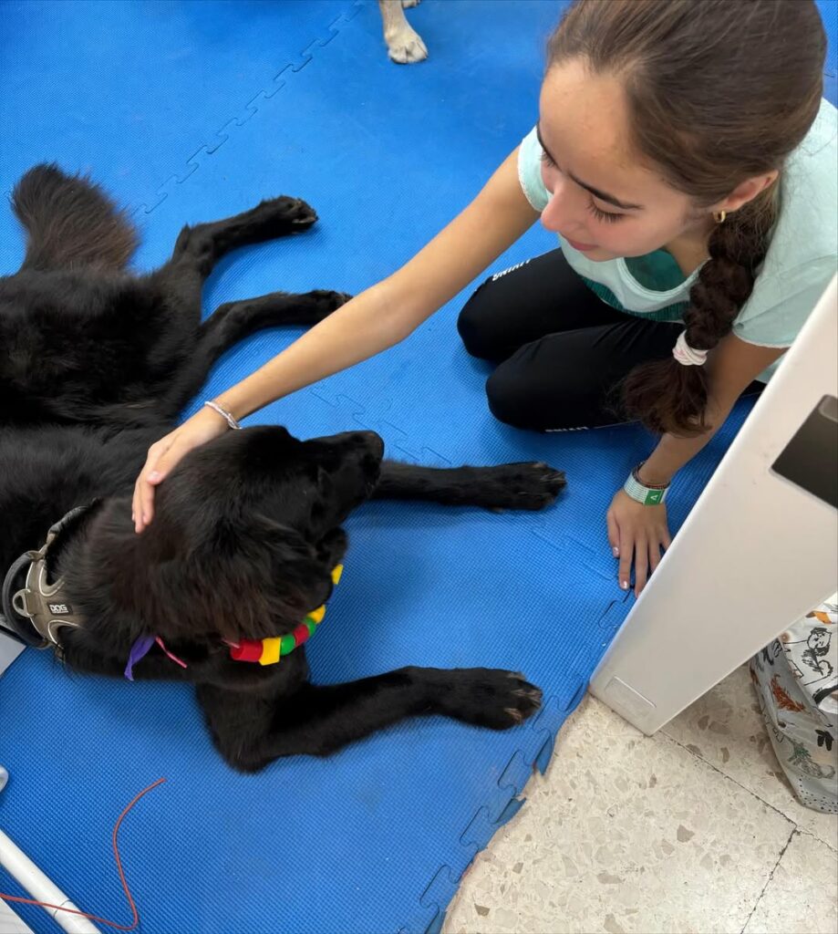 sigfrido-fruit-perruneando