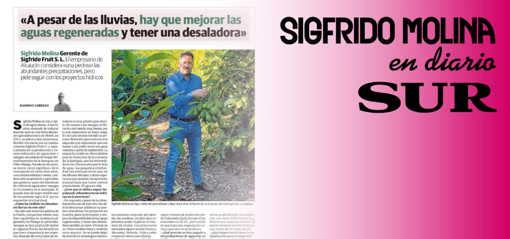 Entrevista a Sigfrido Molina en Diario Sur